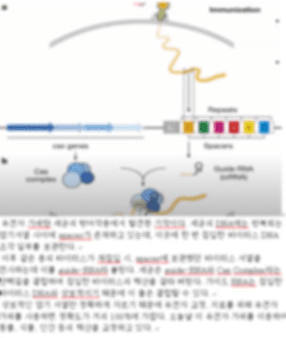 구체적 실행 사례 이미지 1