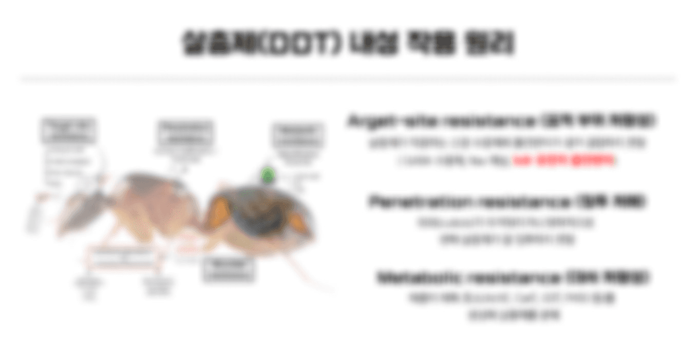 구체적 실행 사례 이미지 1